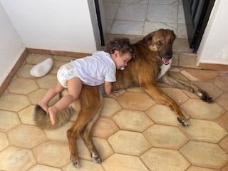 Amora - dou para adoção responsável - URGENTE