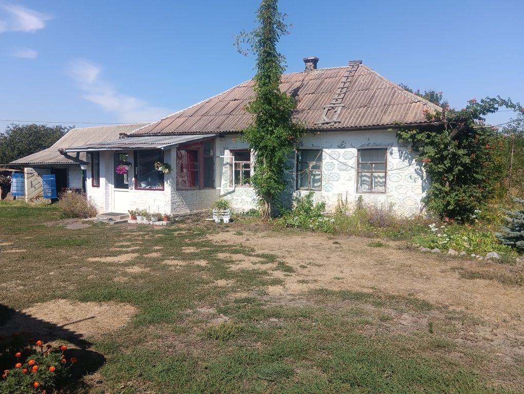 Продам дом-хутор ! Райский уголок !!