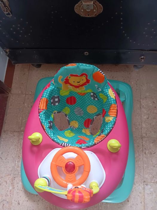 Aranha bebé em excelente estado