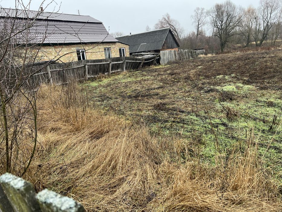 Земельна ділянка