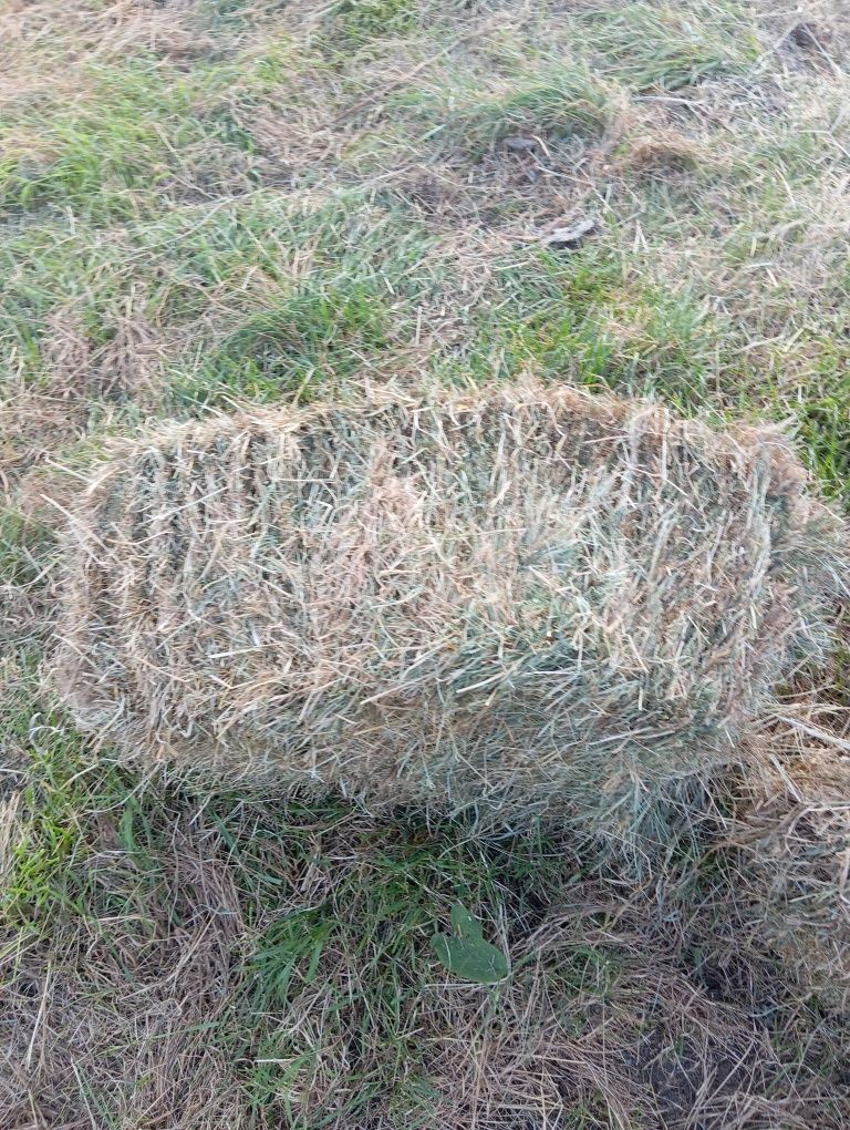 Сено луговое и солома в тюках