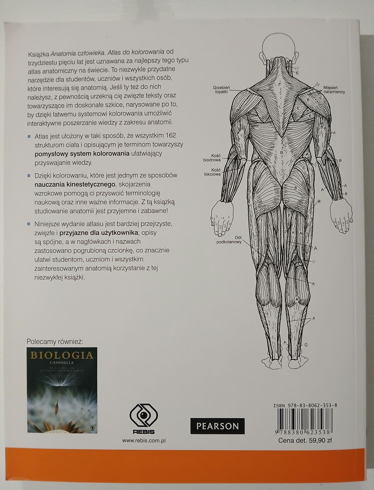Anatomia człowieka atlas do kolorowania