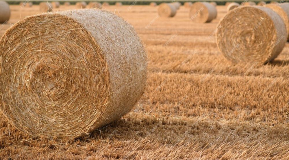 Słoma balot rolk okrągla 2025