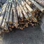 Stemple budowlane  używane   ok 150 szt