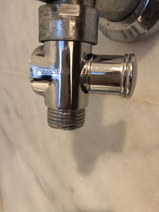 Chuveiro de duche metalizado Rousseau