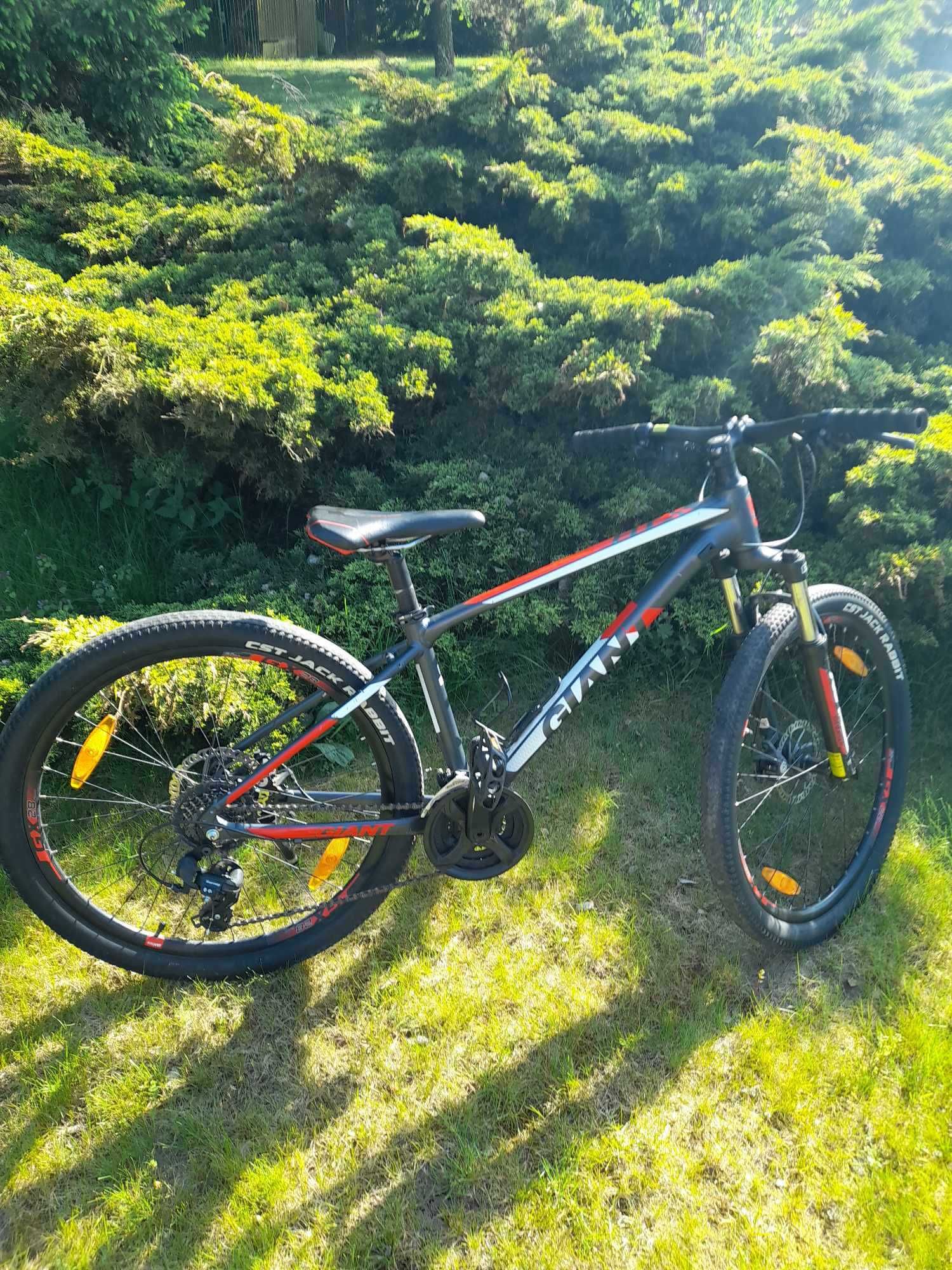 Rower Giant Atx2