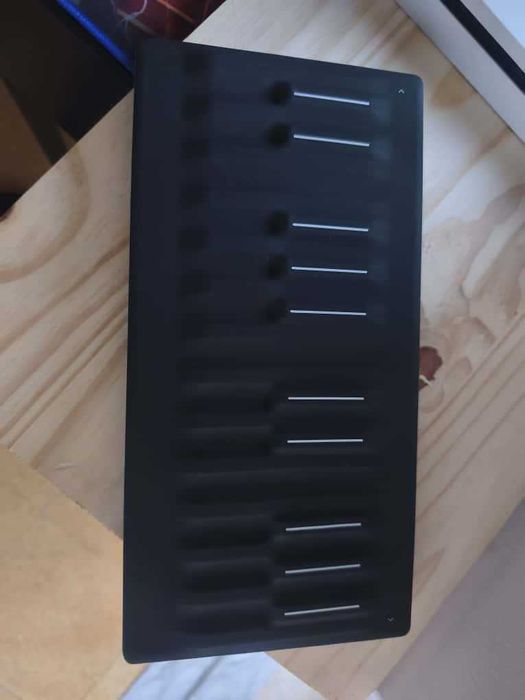 Roli seaboard M estado Novo