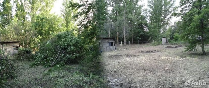 Расчистка участков. Спил деревьев. Демонтаж. Вывоз мусора
