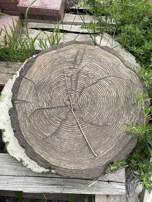 Плитка пенек, спил дерева  тротуарная плитка днепр