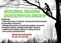 Wycinka i Pielęgnacja Drzew