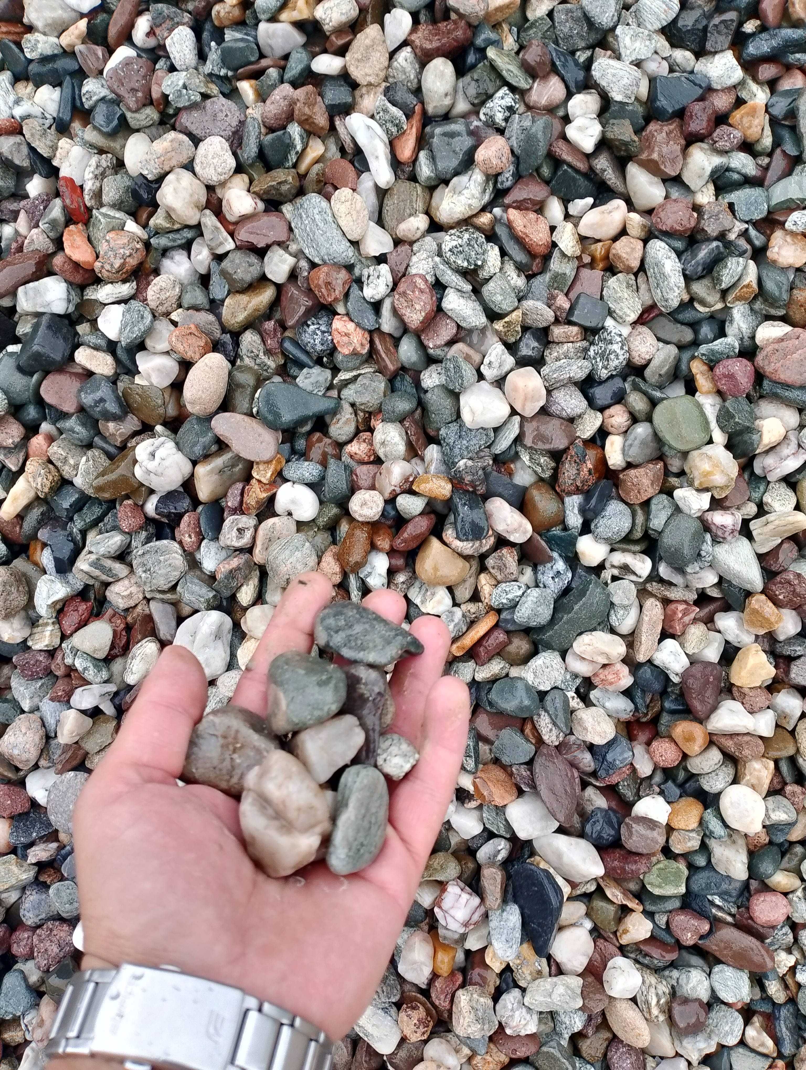 Żwir ozdobny Kolorowy, do drenażu/ Darex Kruszywa i Kamienie Ozdobne