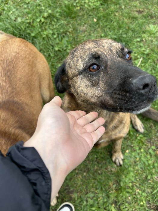 Szukamy domu razem lub oddzielnie