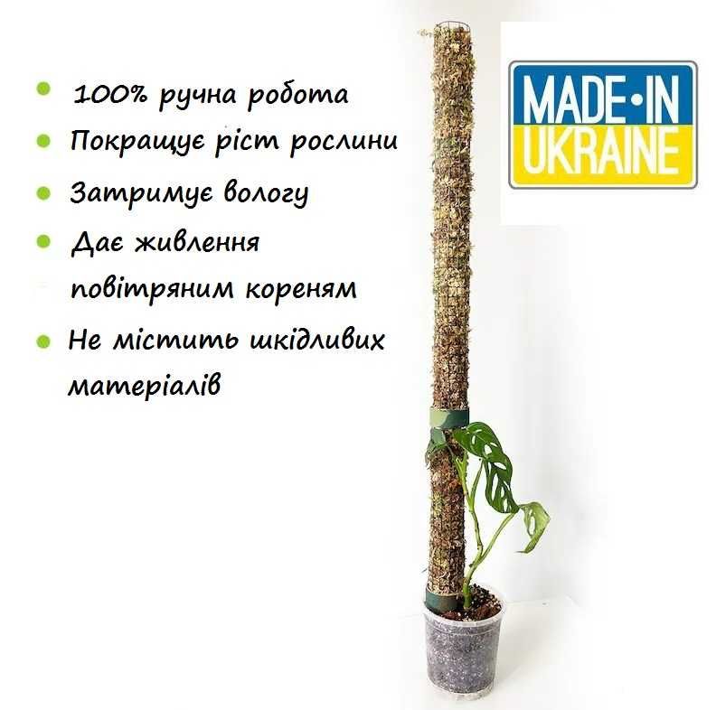 Опора з моху для кімнатних рослин 40см / 6 см