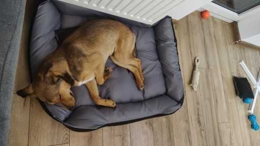 Legowisko dla Psa Kota – Wodoodporne Posłanie 75x65 cm NOWE