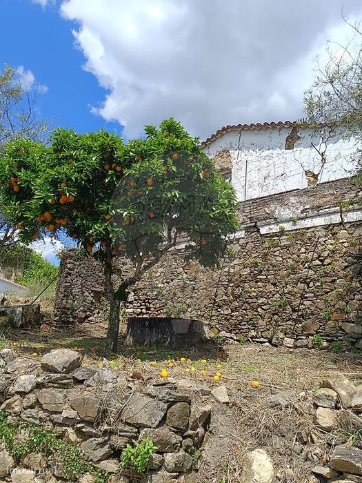 Moradia T0 para venda