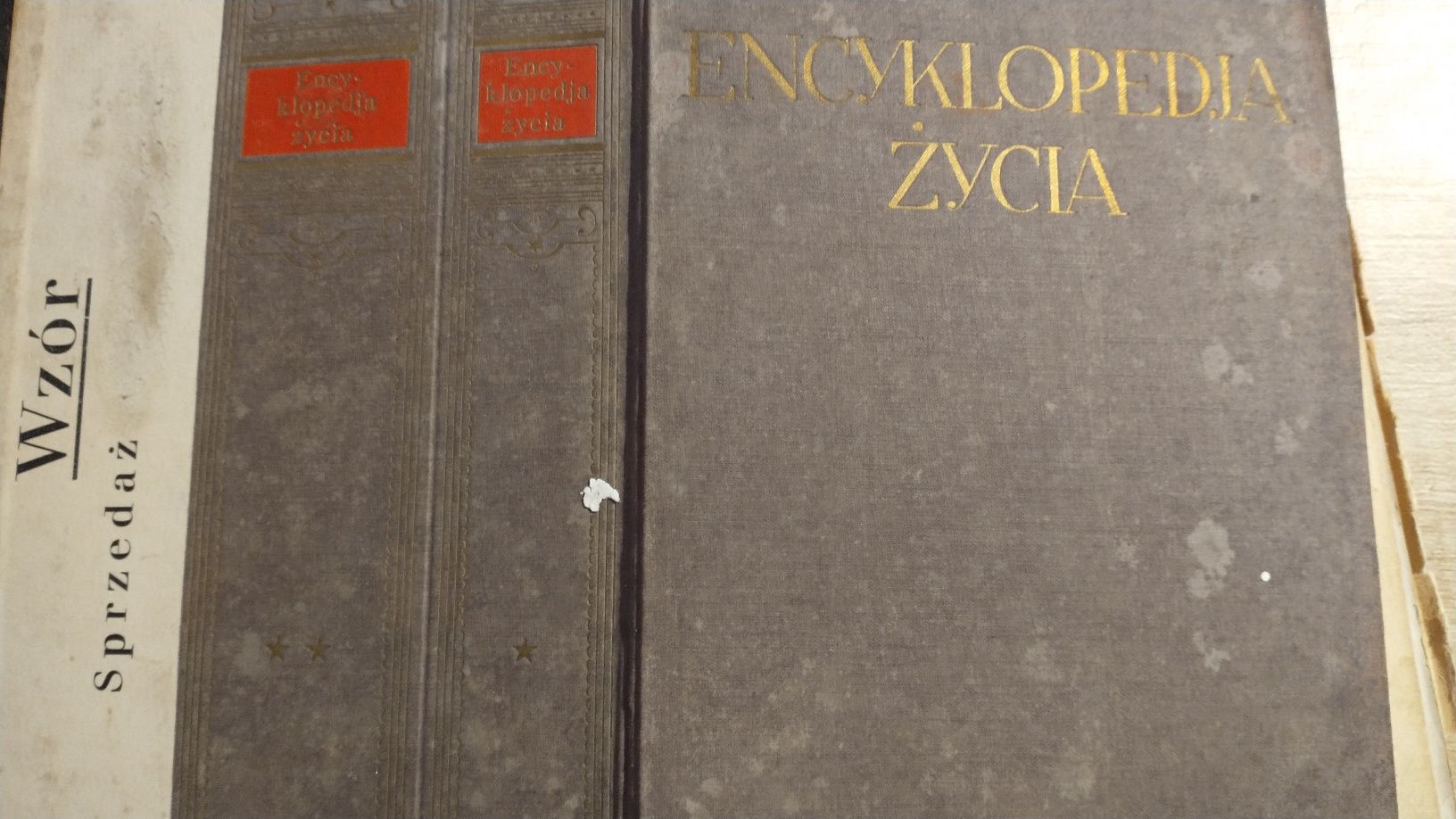 Rodowski ENCYKLOPEDIA ŻYCIA oraz Dzieje Literatury Polskiej