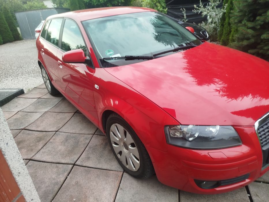 Audi A3 8P 2.0 TDI