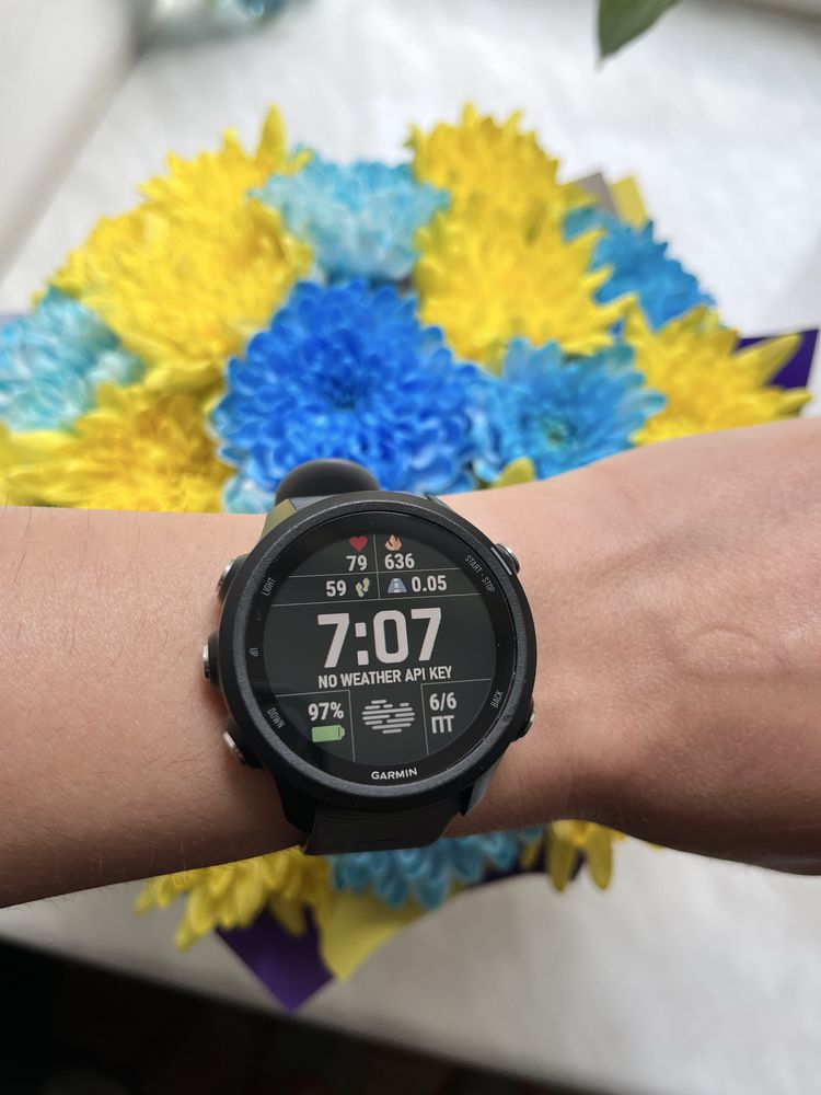 GARMIN forerunner 245 , Смарт годинник