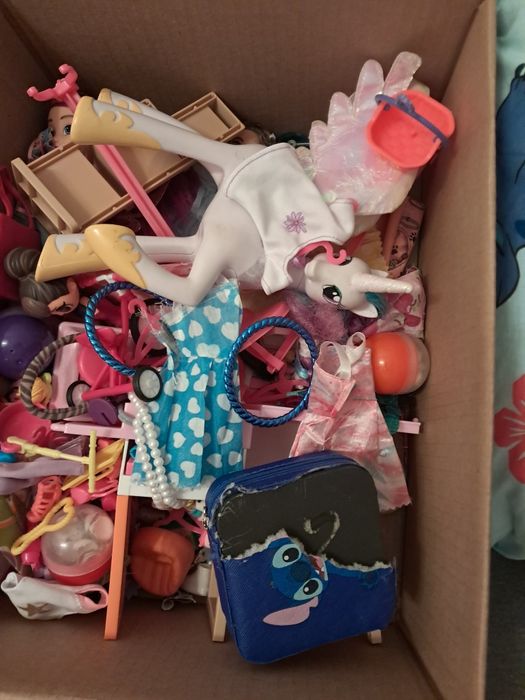 Dwa pudla zabawek i plecaki