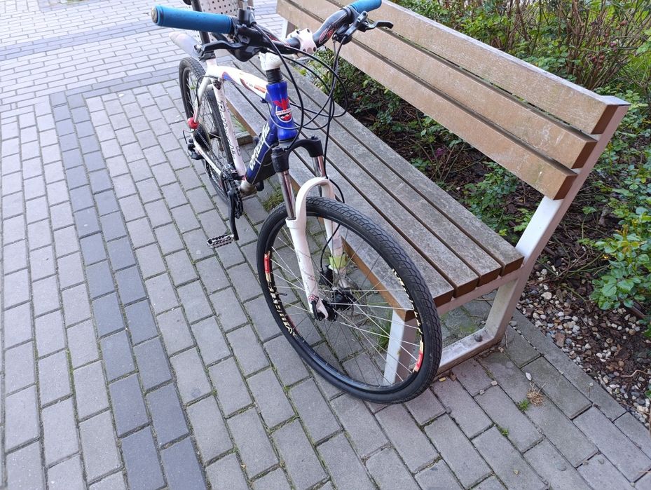 Rower gorski Bottecchia 26C