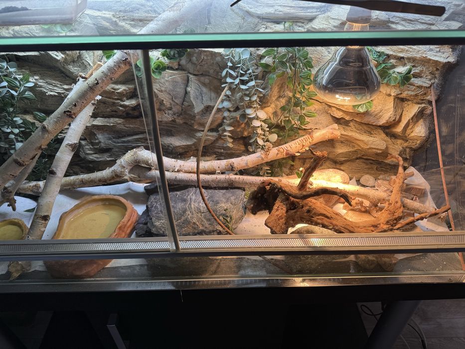 Terrarium 120x100 + wyposazenie w cenie