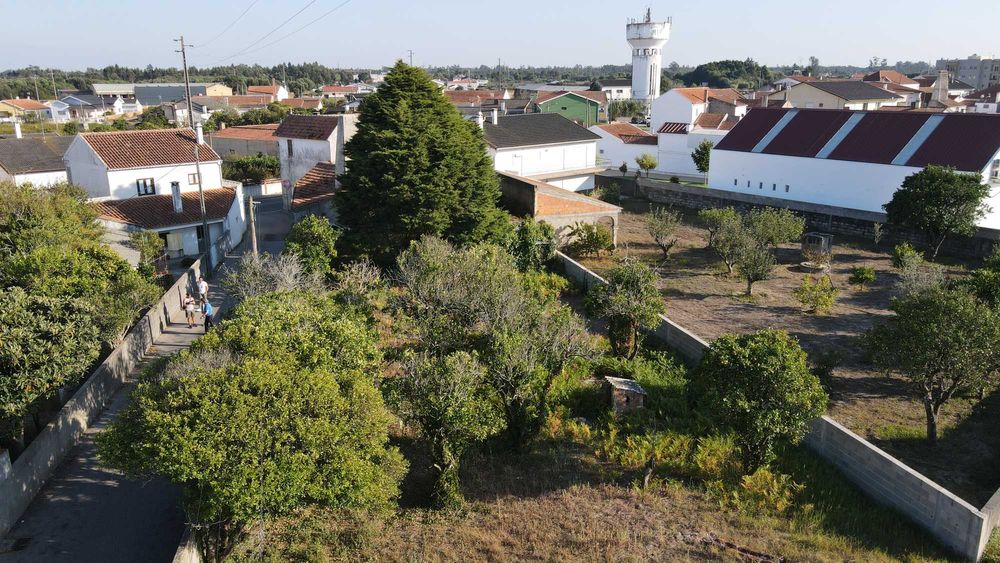 Vende-se moradia, anexos e terrenos adjacentes no centro de Mira