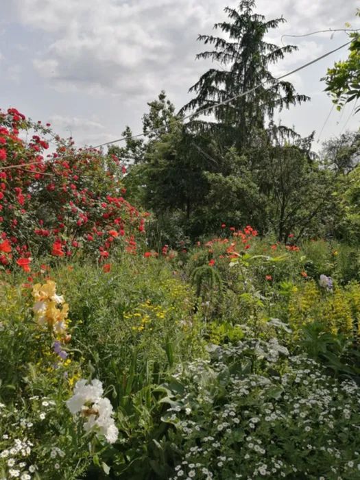 Продам будинок з ексклюзивною земельною ділянкою в центрі міста.