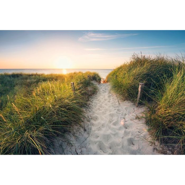 Fototapeta flizelinowa GoodHome Oryza 368 x 248 cm