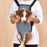 Bolsa transporte de animais/cão
