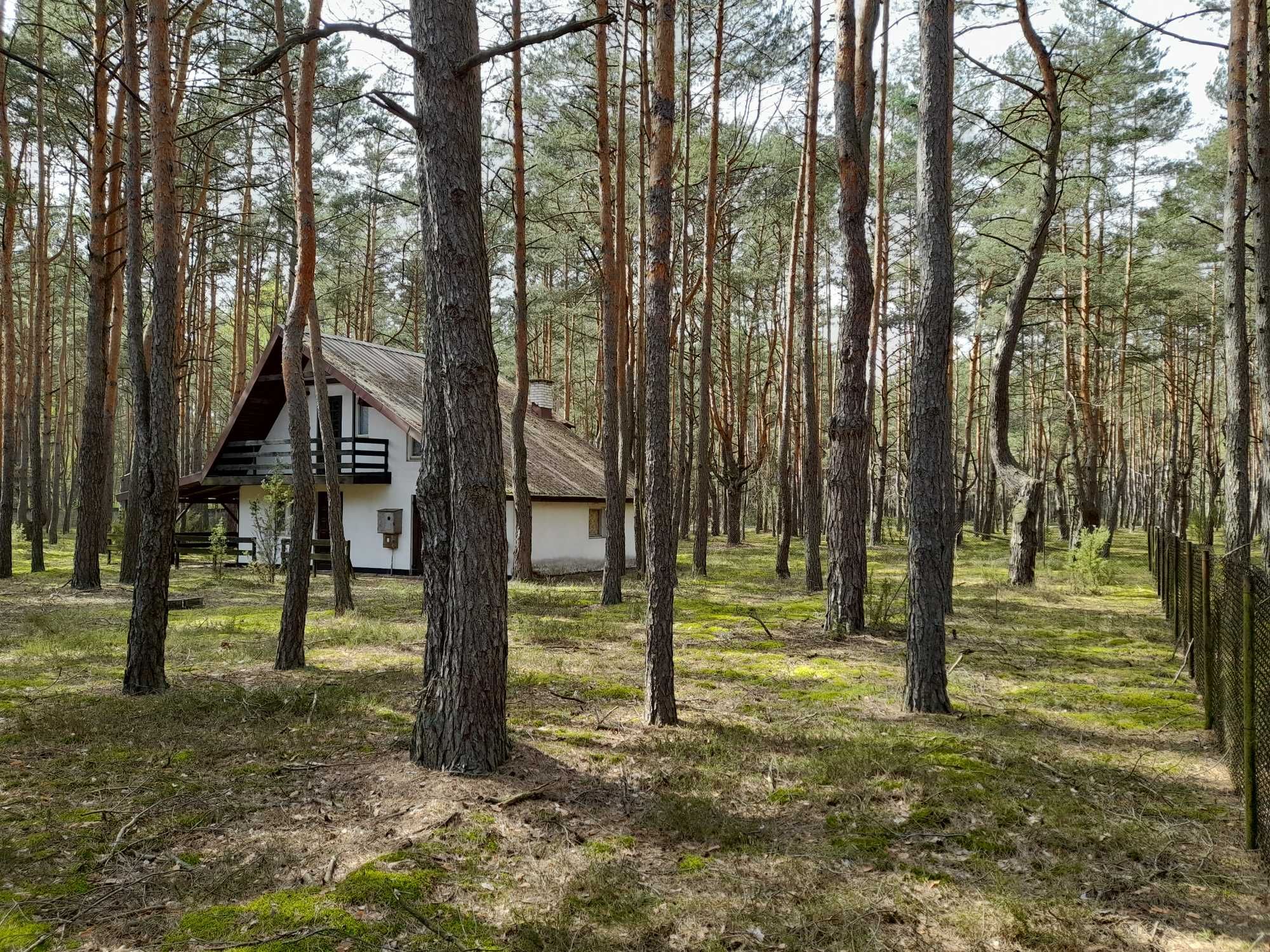 Działka letniskowa 2542 m2 Popowo Letnisko