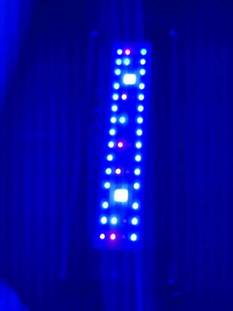 Lampa akwarium morskie Zetlight QMAVEN ZT6800