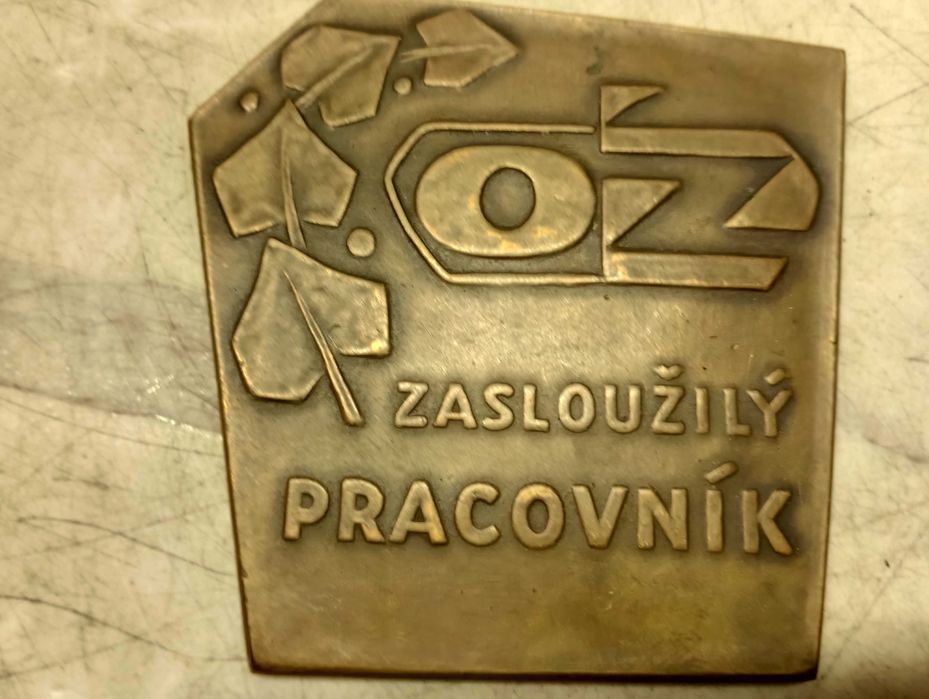 porządki domowe medal