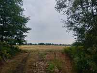 Sprzedam działkę rolno-budowlaną Komsin 2,37 ha