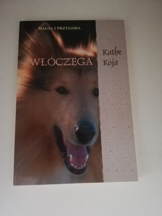 Kathe Koja "Włóczęga"
