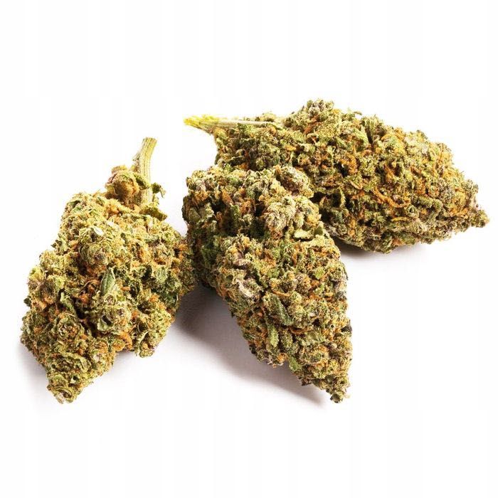 100G Susz konopny CBD LEMON HAZE 0,20%