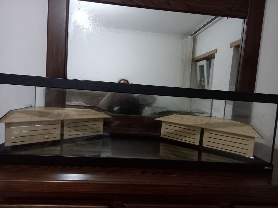 Aquaterrarium para tartaguras