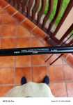 Wędka Jaxon Tenesa Carp 3.60m/3.00lbs