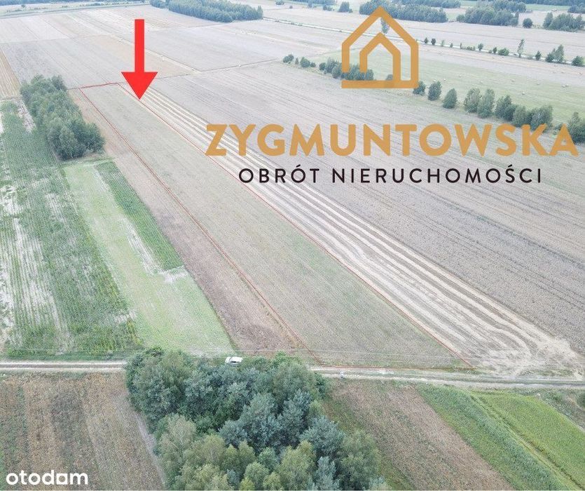 Działki rolne w Miedznej Drewnianej