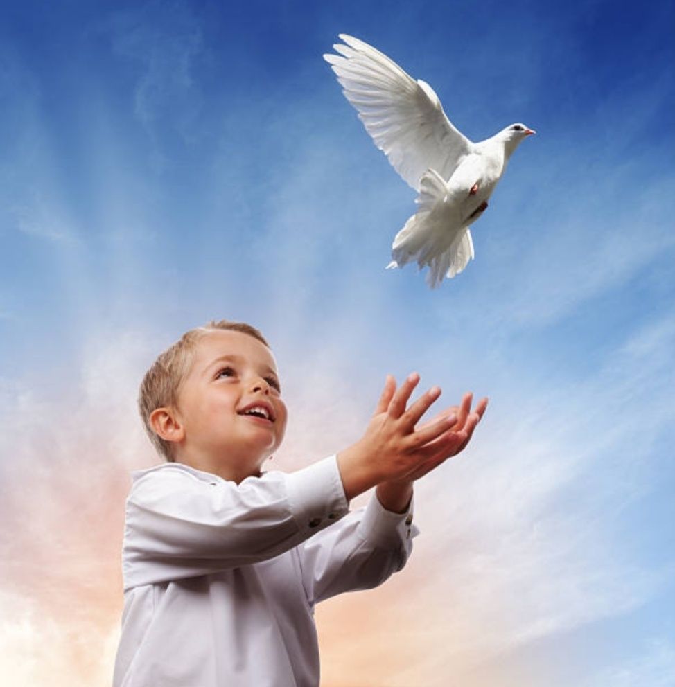 Prezent Komunia Święta 2024 biały gołąb symbol Ducha Świętego sesja