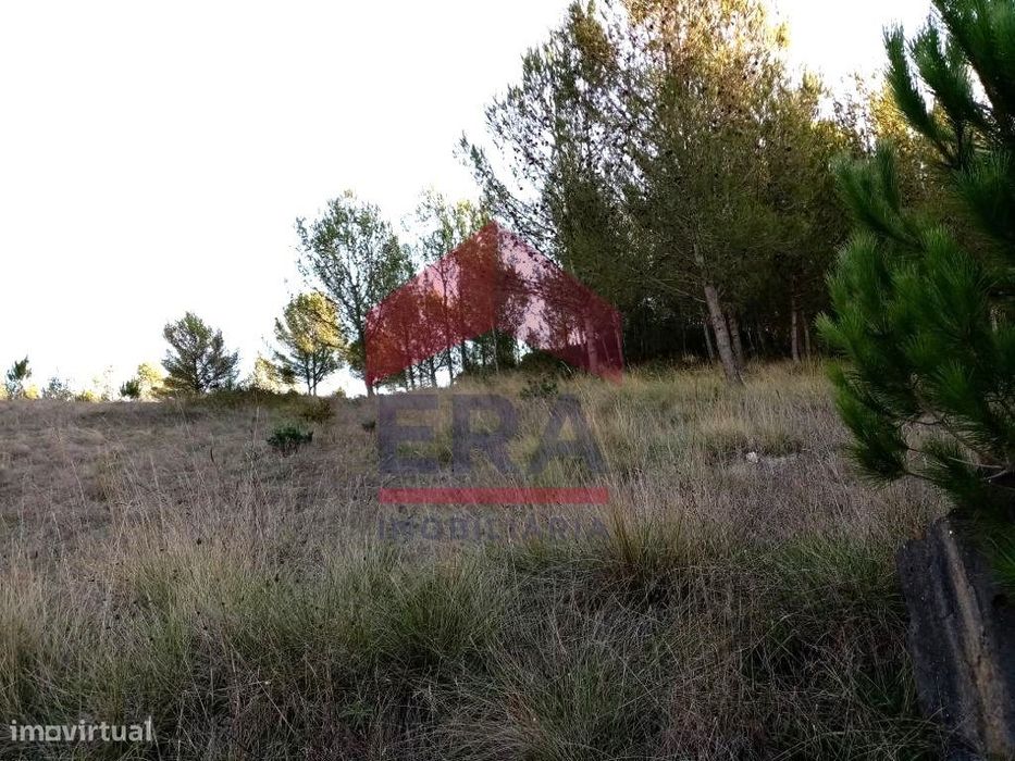 Terreno rústico com 1600m2