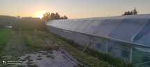 Tunel foliowy 6x30m rury grubościenne