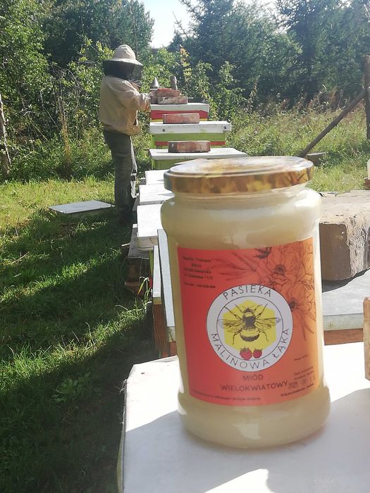 Miod wielokwiatowy 1 kg - 2025