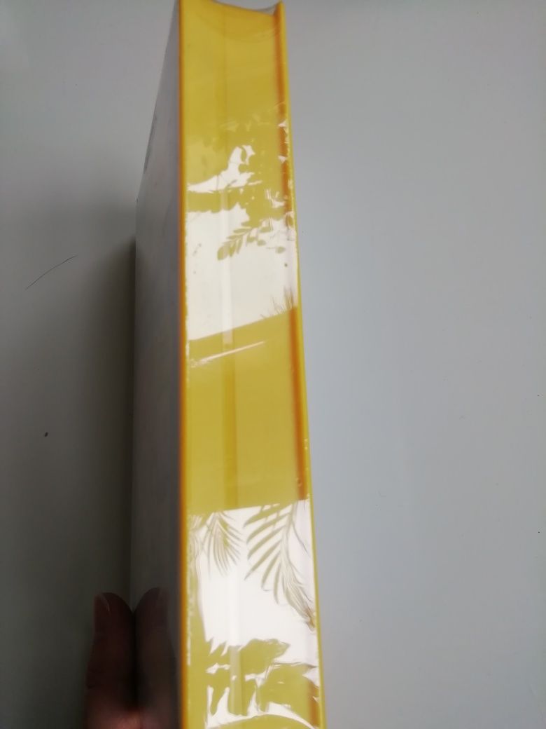 Disney's Magic English nauka angielskiego dla dzieci VHS