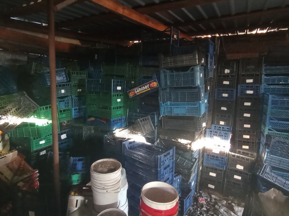 Продам ящики пластикові дерев'яні