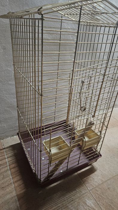 Gaiola de papagaio