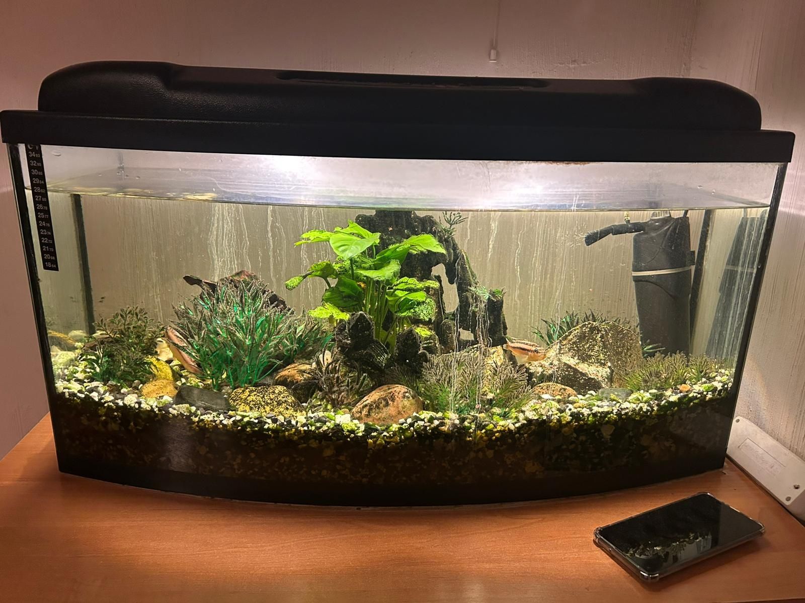 Akwarium 120 litrów z kilkoma rybkami i osprzętem