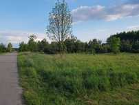 Działka budowlana 4000 m2, Rajki, media, droga asfaltowa