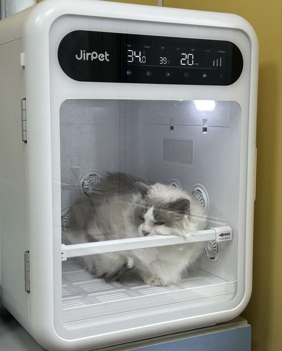 Грумінг собак та котів в салоні «Pluto & Co.» М. Лівобережна