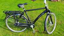 Rower Batavus Mambo Inspire