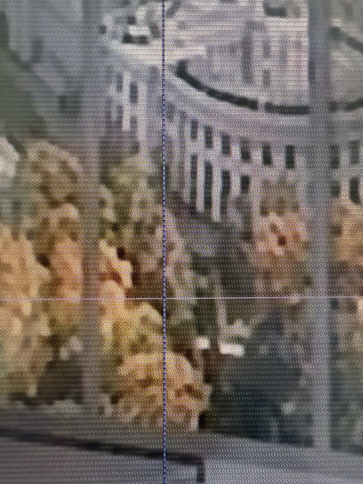 Телевізор LG 49SM8200PLA